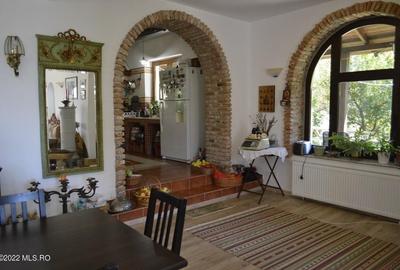 Topoloveni - Conacul Ion Mihalache, Domeniu pe 5 Hectare - 20