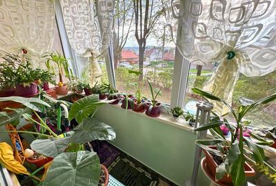 Apartament 3 camere decomandat ( balcon si două pivnițe) - 6