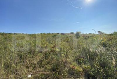 Teren de 3800 mp, în Crișeni - 3