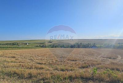 Teren intravilan, 7500 mp in Moara Carp / Strada Eternita... - 13