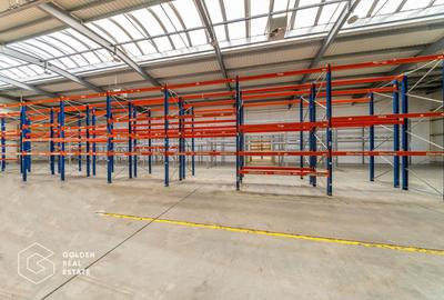 Spațiu industrial, de 704.71997070313 mp, în Aradul Nou - 2