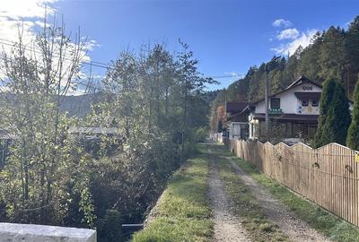 Teren Construcții intravilan de 4000 mp, în Brădet - 11