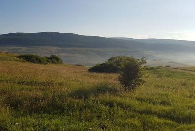 Teren de 3750 mp, în Rădaia - 6