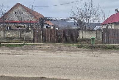 Casă cu 2 camere cu Teren 4000 Mp în Tăut - 10