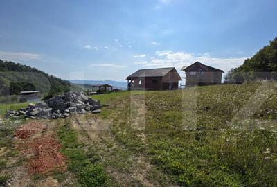 Teren extravilan, cu autorizatie de constructie casa, 875 mp - 2