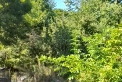 Breaza, Cartier Nistoresti DN1, Prundului Breaza, Cartier Nistoresti DN1, Prundului - 17