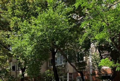 Apartament 3 camere 76 mp etaj 2, centrala termica 12 min Metrou Lujerului - 13