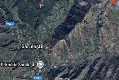 Teren 43.297 mp Sarule?ti, Buzau | Agricol & Turistic. - 1