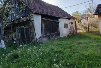 Teren 800 mp in Sarmizegetusa, cu anexa veche (demolabila), u?or in panta - 5