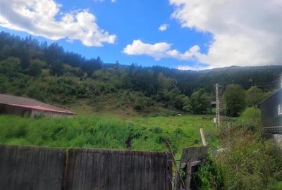 FILM! Teren 33.274 mp, Tulghes, Harghita, panorama munte, destinatie recreativa - 5