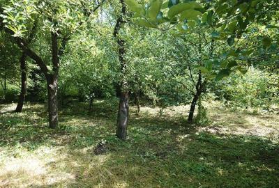 Casă individuală cu 5 camere cu Teren 605 Mp în Exterior Est - 9