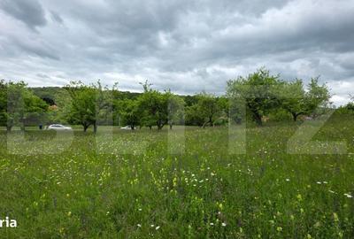 Spațiu comercial, în Slătinița - 1