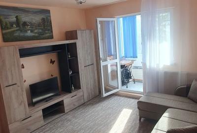 Apartament cu 2 camere semidecomandat în Noua - 6