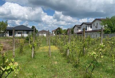 Stefanesti de Jos DJ200  Vanzare teren intravilan 3000mp - 7