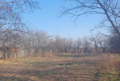 Teren de 882 mp, în Bănești - 2