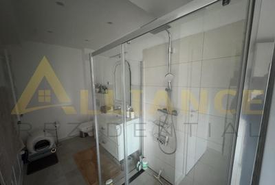 Splaiul Unirii Vila P+1+M, Mobilata si Utilata - 4 camere, 2 bai - 14