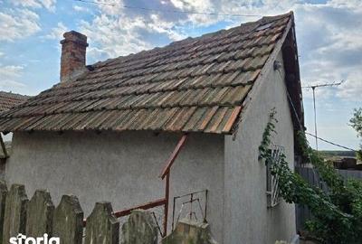 Casă cu 3 camere cu Teren 3803 Mp în Cobadin - 6