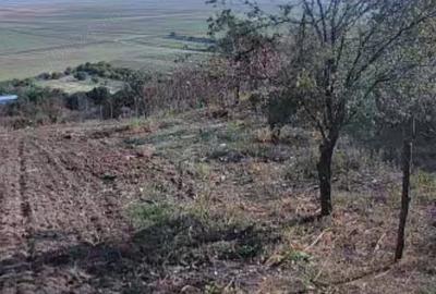 Casa de vanzare Baneasa - 6