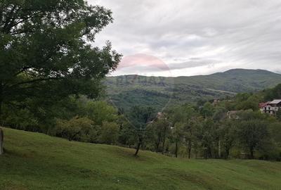Teren cu priveliste spectaculoasa, 4000mp, la 18km de Sinaia Teren cu priveliste spectaculoasa, 4000mp, la 18km de Sinaia - 9