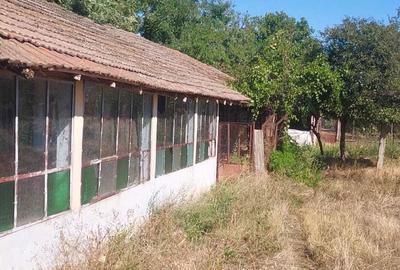 Casă cu 3 camere în Redea - 2