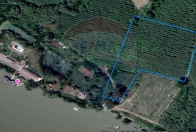 Teren 20,000mp Tulcea /  Delta Dunarii - 5