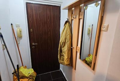 Garsonieră semidecomandată, mobilată în Gorjului - 8