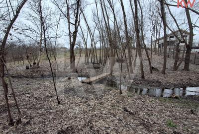 Duplex cu 7 camere cu Teren 2354 Mp în Malu Mare - 18