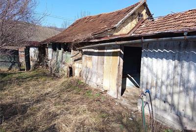 Casă cu 2 camere cu Teren 1439 Mp în Brădișoru de Jos - 8