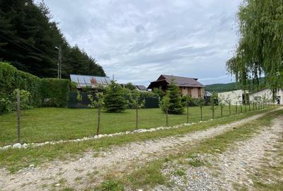 Casa pe parter la liziera padurii, Bascov-Florea, Arges - idealimob.ro - 6
