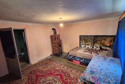 Casă cu Teren 1464 Mp în Plopșoru - 6