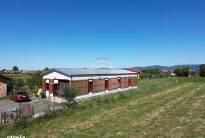 Spațiu comercial, de 150 mp, în Recea - 4