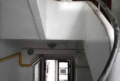 Apartament 1 camera in bloc interbelic langa Palatul Cotroceni Apartament 1 camera in bloc interbelic langa Palatul Cotroceni - 15