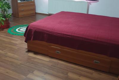 Vila individuala-la bulevard -Berceni IF - 14