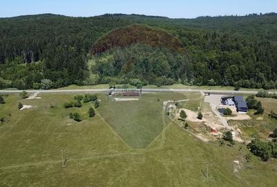 Teren agricol intravilan de 5561 mp, în Păltinoasa - 10