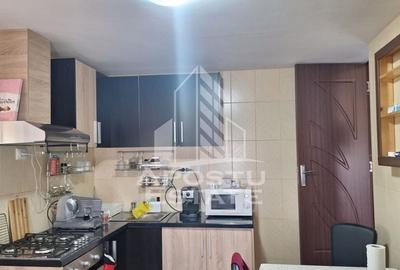 Casa individuala in Ianova,Comuna Remetea Mare - 14