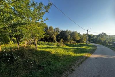 Casa de vanzare sat Samboleni. - 10