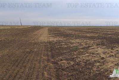 Oferim spre vanzare 6 loturi de teren extravilan (agricol) in Petrachioaia ILFOV - 13