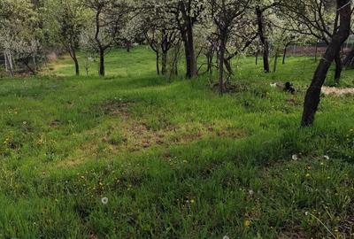 Teren de 1079 mp, în Săndulești - 1