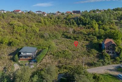 Teren 6.583 mp cu dubla deschidere ?i utilita?i, Calea Adevarului Oradea - 2