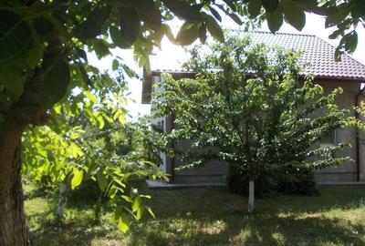 Casă individuală cu 5 camere cu Teren 1500 Mp în Dragalina (Cristinești) - 5