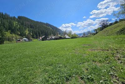 Teren de vanzare in Bucovina zona Pojorata pe Transrarau - 2
