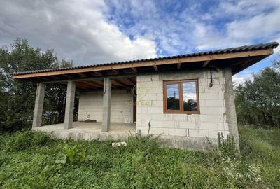 Casă cu 3 camere cu Teren 3800 Mp în Peleș - 5