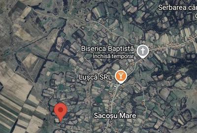 Teren de 2350 mp, în Sacoșu Mare - 4