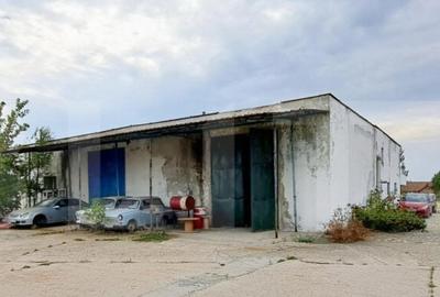Oportunitate! Teren intravilan 20000 mp si spatiu industrial - 9