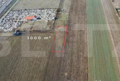 Teren de 1041 mp, în Vladimirescu - 2