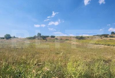 Teren intravilan,827 mp,Ciugud - 1