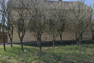 Casă cu 4 camere în Variaș - 5