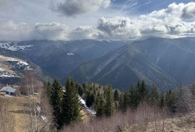 Teren de 5000 mp, în Măguri - 3