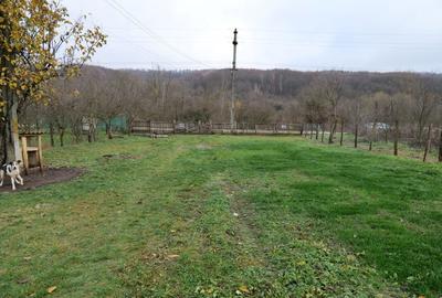 Casă cu 3 camere cu Teren 1450 Mp în Boțești - 5