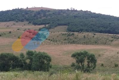 Teren Construcții intravilan de 880 mp, în Feleacu - 1